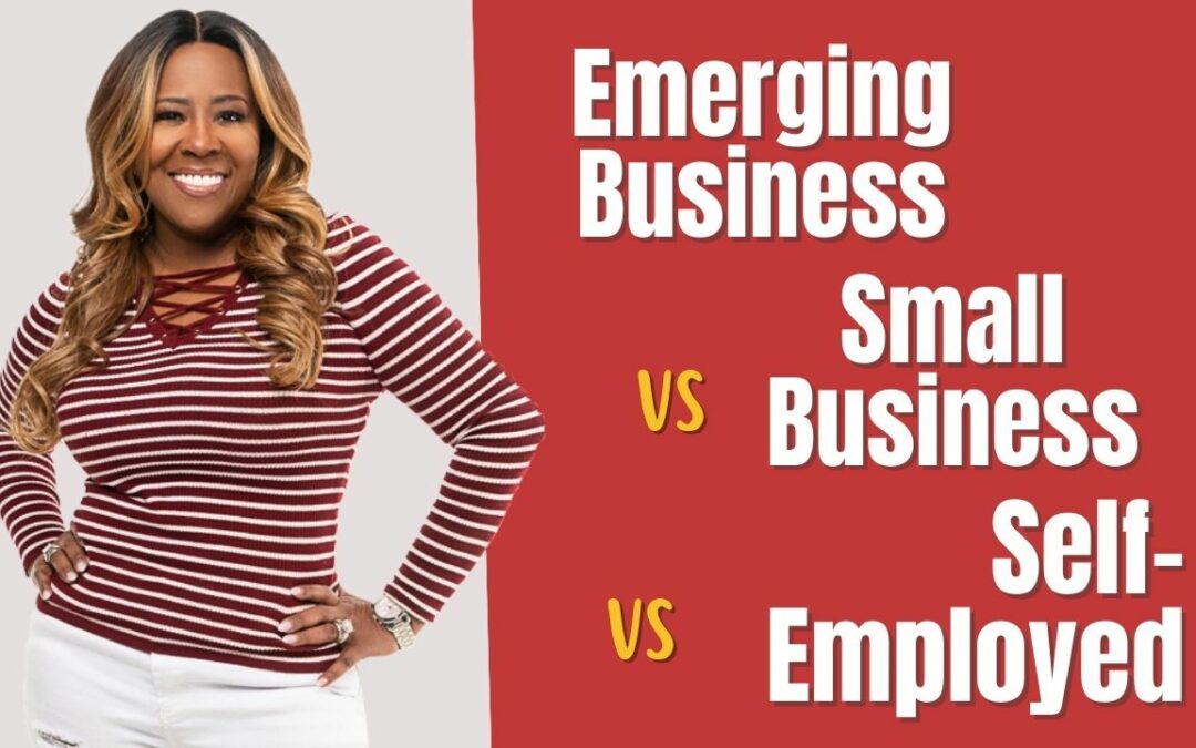 Emerging Business vs. Small Business vs. Self-Employed